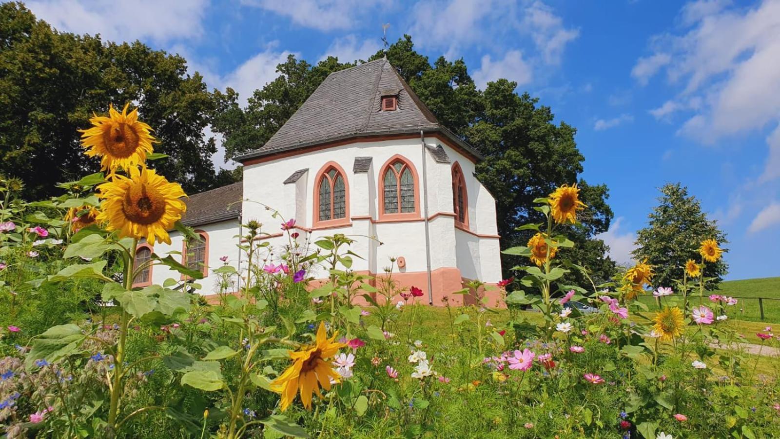 Ferienhaus Deine Zeit Mit Sauna Und Wallbox Nettersheim Exterior foto